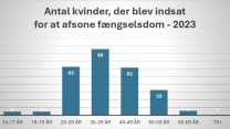 Fakta om kvinder i fængsel